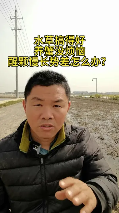 醒颗慢，长势差怎么办？ #水产养殖 #河蟹养殖