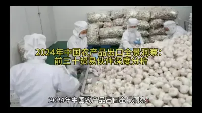2024年中国农产品出口全景洞察：前三十贸易伙伴#国际贸易 @云食界