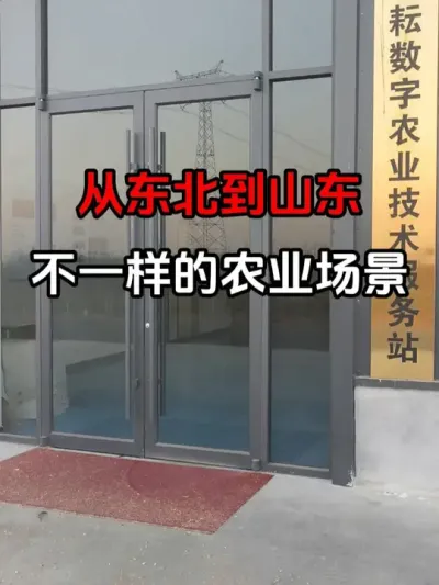 东北到山东的差异 东北地块大雪覆盖，山东小麦绿油油。#新农人 #黑龙江种植 #山东小麦