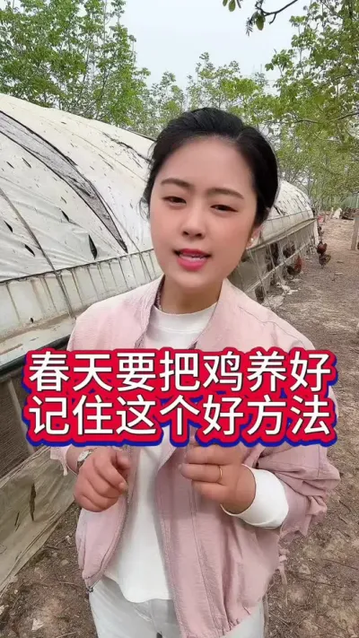春天要把鸡养好记住这个好方法#养鸡#养鸡妙招#科学养鸡#散养土鸡#鸡鸭鹅养殖