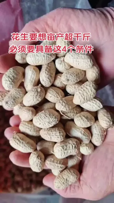 #朝晖农资#抖音助农 #农业人 #抖音助农扶农 #新农人计划 #关注三农