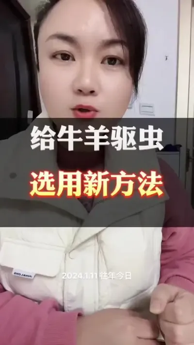 给牛羊驱虫，选用新方法#肉牛养殖 #全国养牛人 #养殖户 #科学喂养