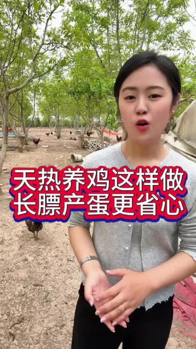 天热养鸡这样做长膘产蛋更省心#养鸡#科学养鸡#散养土鸡#鸡鸭鹅养殖#科学养鸡