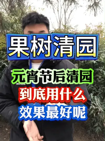 果树春季清园用什么，清园更彻底，时效期更长#果树种植 #果树管理 #果树清园 #果园管理 #病虫害防治