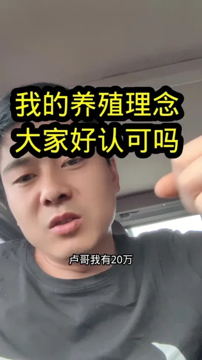 #养羊 #养羊人 #农村养羊 #养羊创业
