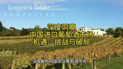 深度洞察：中国进口葡萄酒市场的机遇、挑战与破局之策@云食界展贸服务平台