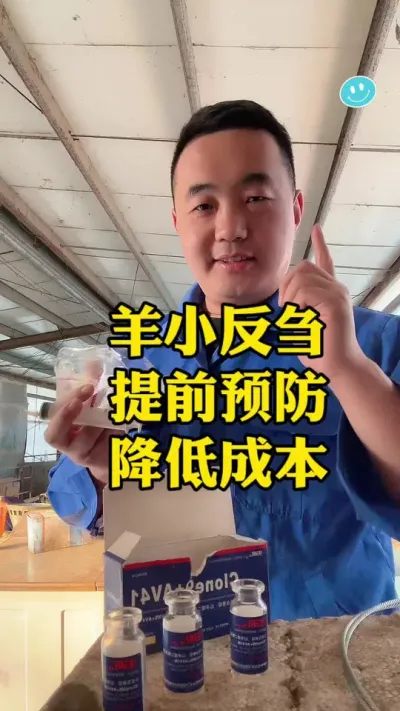 防大与治， 降低养殖风险#每天分享牛羊养殖小知识 #养殖场专用 #养羊人