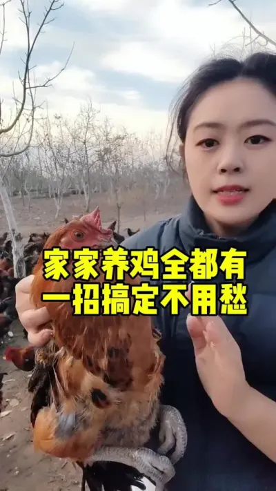 家家养鸡全都有一招解决不用愁#养鸡#科学养鸡#散养土鸡#养鸡妙招