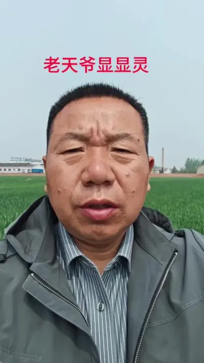 老天爷显显灵 #下雨吧老天爷 #小麦种植#小麦种植管理技术#三农