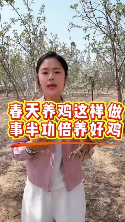 春季养鸡这样做事半功倍 #科学养鸡 #鸡病防治 #鸡鸭鹅养殖 #服务三农支持三农 #养殖小妙招