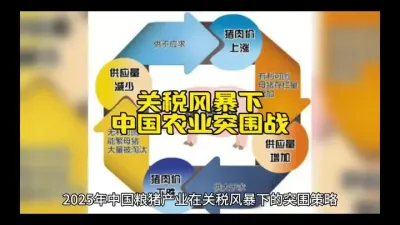 《关税风暴下的中国农业突围战》@云食界展贸服务平台