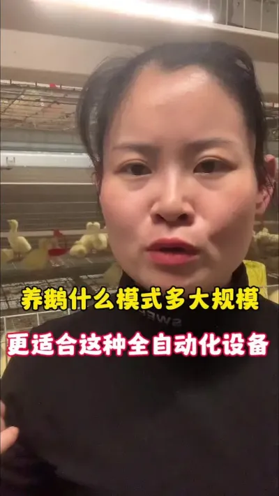 养鹅什么模式，多大规模更适合全自动养殖设备？#养鹅技术分享 #养鹅人 #三农 #每天分享养殖技术和经验 #狮头鹅