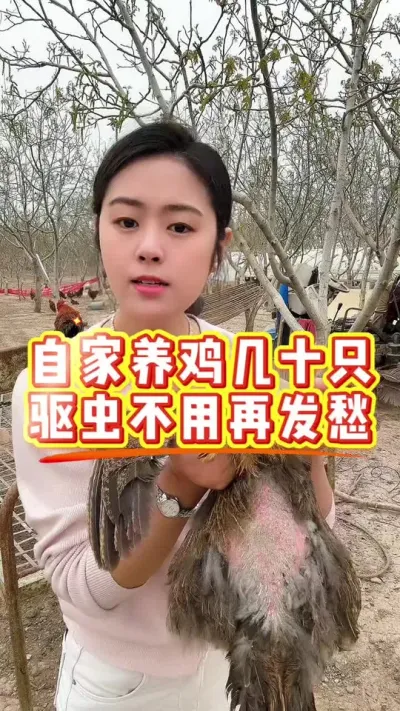自家养鸡几十只，驱虫不用再发愁 #鸡鸭鹅养殖 #科学养鸡 #鸡病防治 #服务三农支持三农 #养殖小妙招