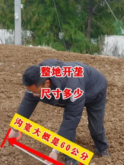 2025年露天实验地整地工作开始了#辣椒种植 #辣椒 #小米辣 #线椒 #来抖音学农技