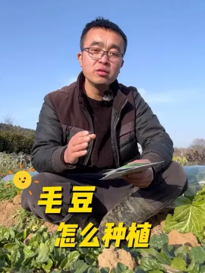 春天毛豆怎么种植？毛豆种植方法#关注我一起学种菜 #我的小菜园 #种植小技巧 #学种菜 #蔬菜种植