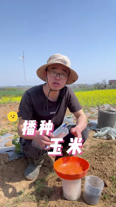 玉米怎么播种出苗快？玉米播种过程#种植小技巧 #关注我一起学种菜 #我的小菜园 #种菜#玉米种植