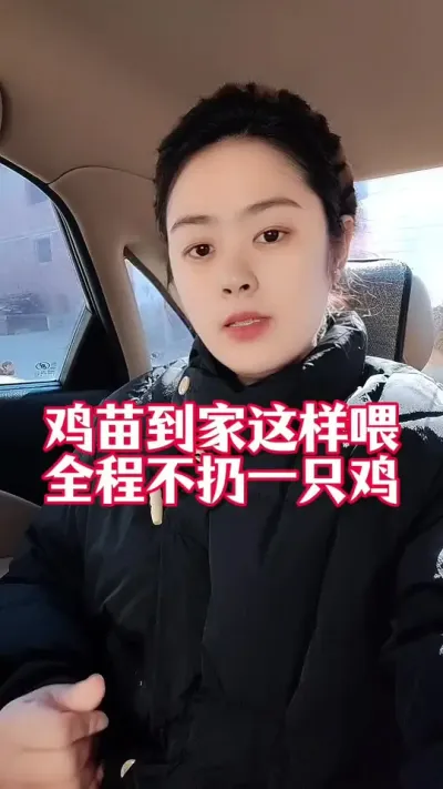 鸡苗到家这样做，全程不扔一只鸡#家禽养殖 #养鸡人 #养鸡 #服务三农支持三农 #育雏