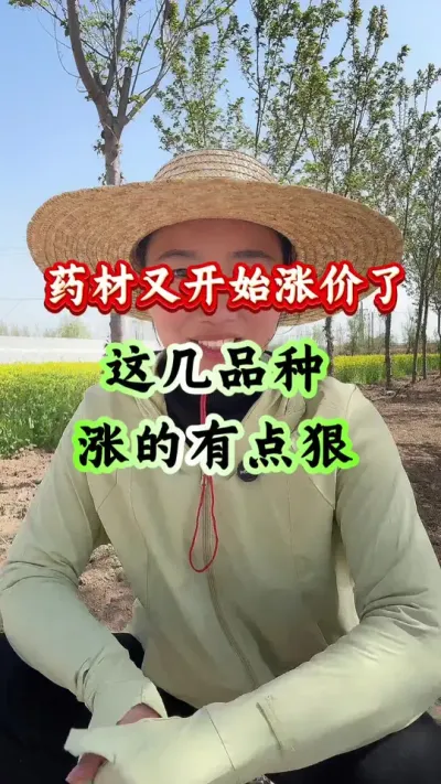 药材种植 药材又开始涨价了这几品种涨的有点狠 #药材种植 #药材管理 #药材高产