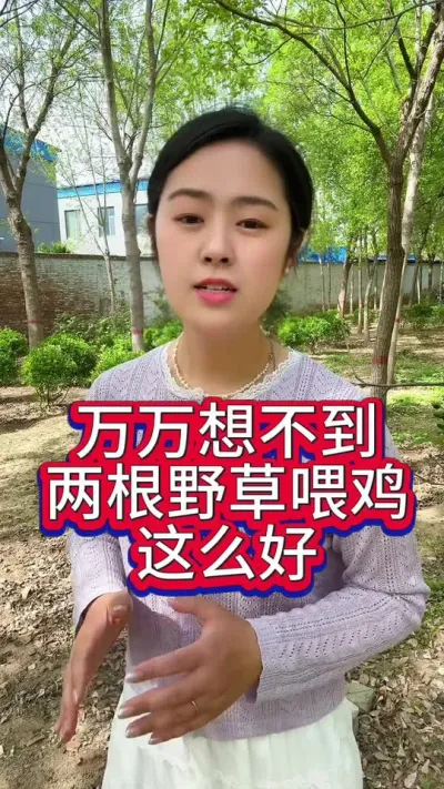 万万想不到路边两根草喂鸡竟然这么好#养鸡#科学养鸡#散养土鸡#养鸡妙招