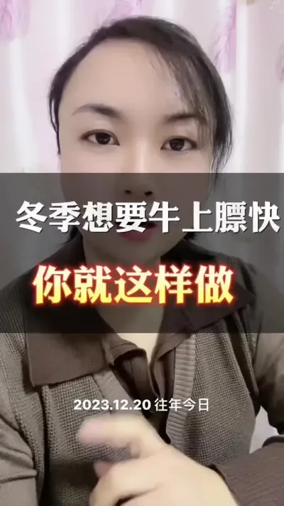 冬季牛驱虫，上膘快，不爱生病#西门塔尔育肥牛 #全国养牛人 #西门塔尔 #养殖户