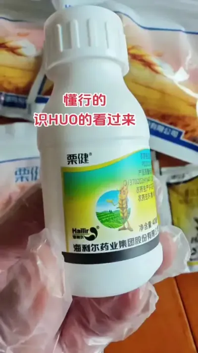 #农业人 #农业 #小麦 #小麦高产技术 #农业种植技术