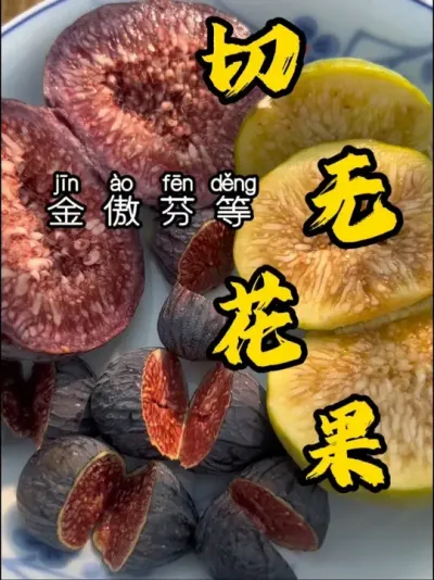 午后惬意的阳光下，切开无花果，美丽的颜色赏心悦目，它甜蜜的口感让人心醉。一起来种无花果吧！#盆栽果树 #记录我的种植生活 #盆栽无花果
