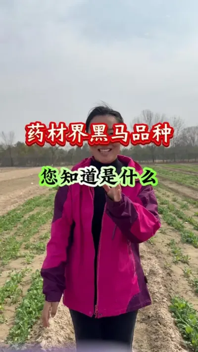 药材种植 药材界黑马品种您知道是什么 #药材种植 #药材管理 #药材高产