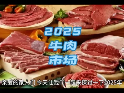 2025中国牛肉市场分析#买牛肉要注意什么 @云食界展贸服务平台