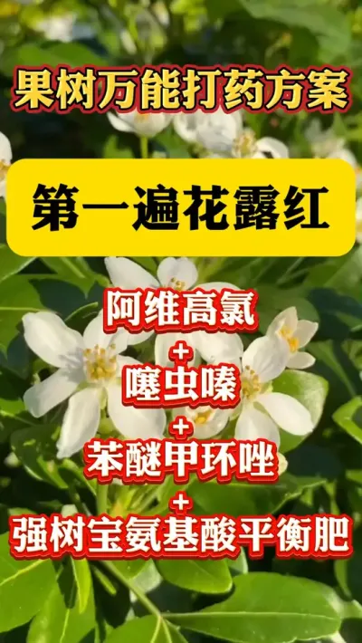 果树万能打药方案#果树种植 #果树管理 #果园管理