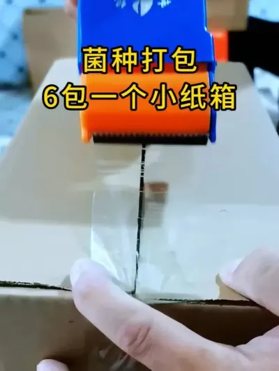 枝条菌种挂浆操作，用过了客户就上瘾了，反复找我们订购。#平菇种植 #平菇菌种 #食用菌栽培种 #栽培种