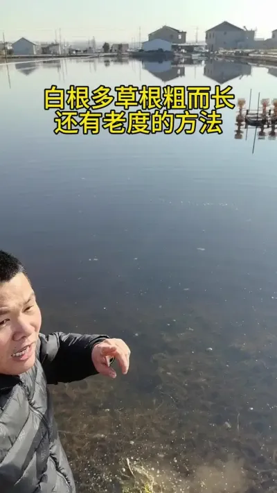 白跟多粗长的方法 #水产养殖 #河蟹养殖 #大闸蟹养殖 #螃蟹养殖 #养蟹发哥