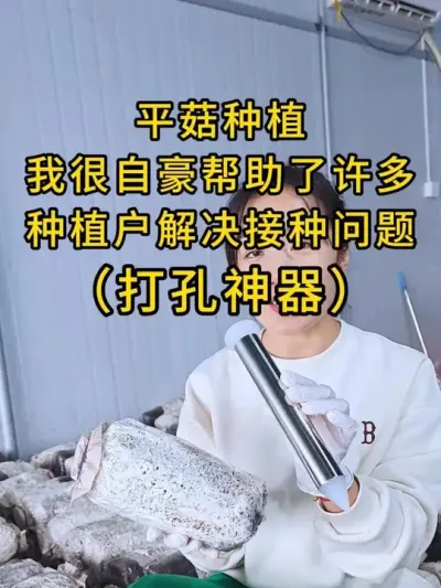 平菇种植我很自豪帮助了许多种植户，解决接种问题，打孔器打孔省时省力，发菌快，你也试试吧。#打孔器 #菌种打孔器 #平菇种植