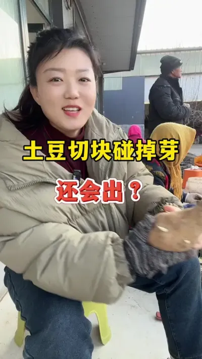 土豆切块碰掉芽，还会再发吗#土豆 #土豆高产种植 @抖音小助手