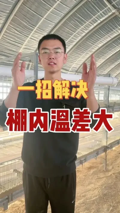鹅棚温差大？鹅床左边温度高，右边温度低？小鹅叨毛，扎堆很厉害？根源找到了！快点进来看啦，一招解决！#我的养殖生活 #养鹅技术找晓雨 #养鹅技术分享