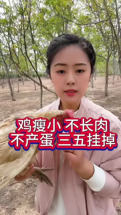 鸡瘦小不长肉不产蛋三五挂掉#养鸡#鸡病防治#科学养鸡#散养土鸡#养鸡妙招