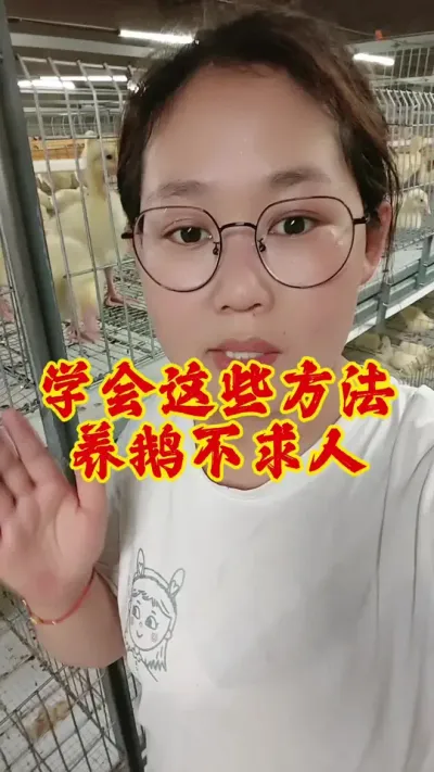 学会这些方法，养鹅不求人#养鹅 #养鹅人 #养鹅技术分享 #鹅 #