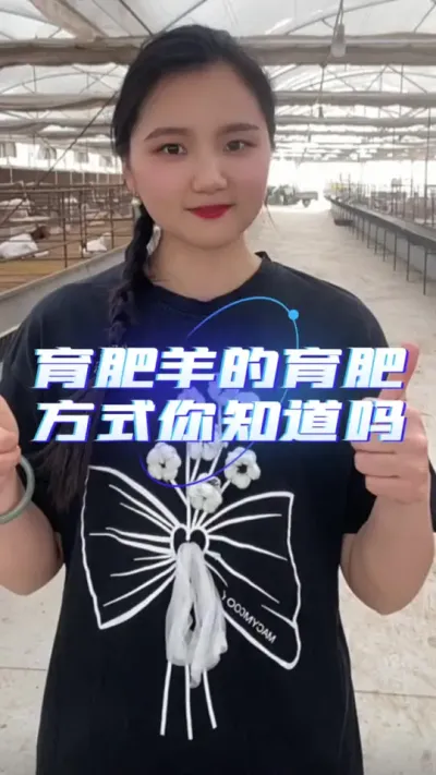 育肥羊的育肥方式你知道吗#养羊技术分享 #三农 #羊价行情 #服务三农支持三农 #养羊知识
