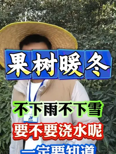 暖冬果树要浇水吗？  #果树管理   #果树种植   #果园管理