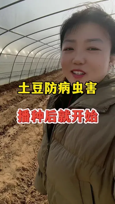 土豆病虫害的防治从播种后就要开始#土豆高产种植 #土豆 @抖音小助手