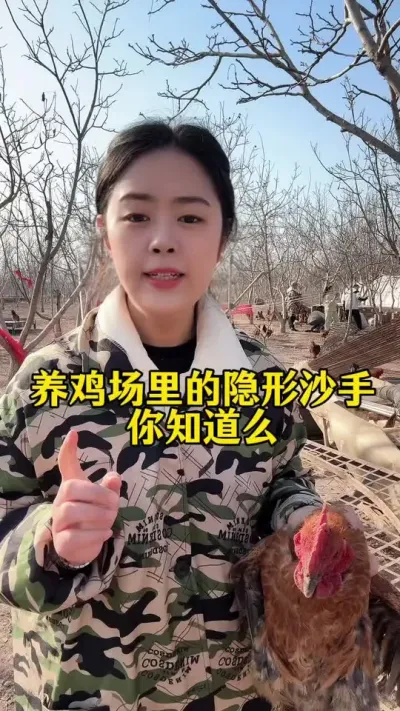 养鸡场里的隐形沙手，你知道么#科学养鸡 #鸡鸭鹅养殖 #养鸡人 #服务三农支持三农 #养殖小妙招