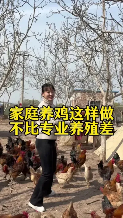 家庭养鸡这样做不比专业养殖差 #科学养鸡 #鸡鸭鹅养殖 #鸡病防治 #养鸡人 #鸡鸭鹅