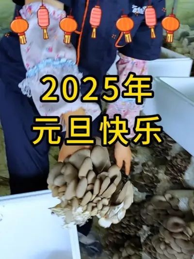新的一年，六希菌种祝大家，2025年元旦快乐！#平菇菌种 #平菇种植 #食用菌栽培种 #栽培种