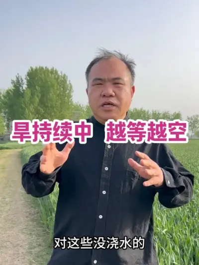 旱持续中 越等越空 不能指望未来有大雨，不能指望小麦有深层根，根都变成耗水物了，产量源自何处？#小麦浇水管理