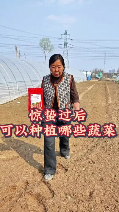 惊蛰过后种哪些蔬菜 怎么预防地下害虫#惊蛰#病虫害防治 #地下害虫防治 #生菜杨姐  #蔬菜种植
