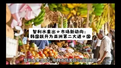 智利水果出口市场新动向：韩国跃升为亚洲第二大进口国@云食界展贸服务平台
