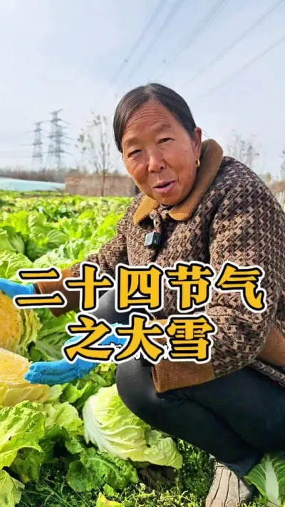 二十四节气之大雪 大雪节气的蔬菜怎么管理怎么种#二十四节气 #大雪 #蔬菜种植 #生菜杨姐 #每天分享蔬菜种植技巧 @DOU+小助手
