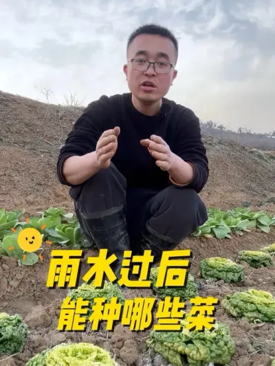 雨水节气过后能种哪些蔬菜？#关注我一起学种菜 #我的小菜园 #种植小技巧 #我爱种菜 #学种菜