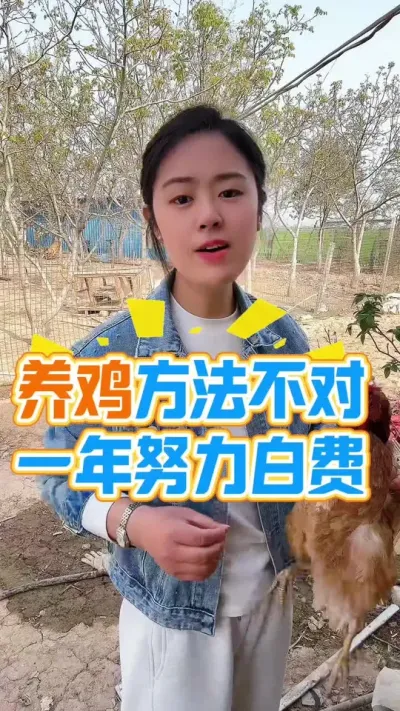 养鸡方法不对一年努力全白费#养鸡#科学养鸡#散养土鸡#鸡驱虫#养鸡妙招