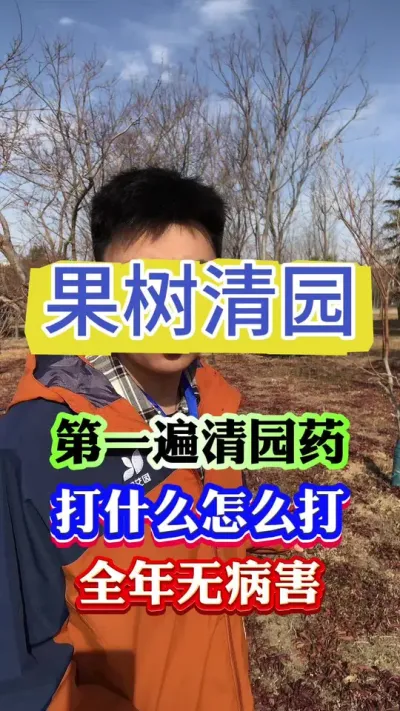 果树第一遍清园药#果树管理 #果树种植 #果园管理 #病虫害防治