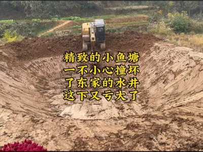 今天挖了一口精致的小鱼塘，但是不小心撞坏东家的水井，这就尴尬了#挖掘机视频 #原创视频 #现场实拍 #挖掘机 #挖鱼塘